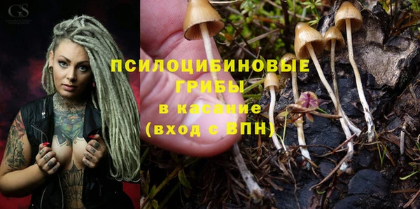 гашик Алзамай