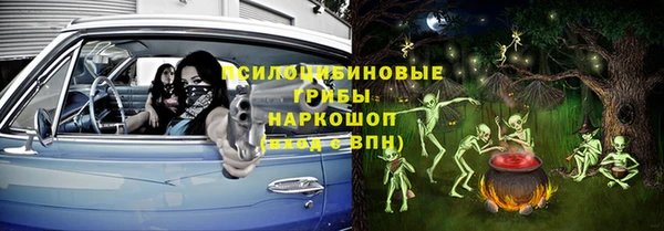 гашик Алзамай