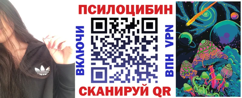 что такое   darknet Telegram  Галлюциногенные грибы Psilocybe  Дудинка 